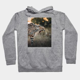 Angry Cheetah Hoodie